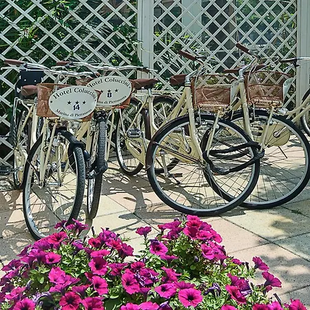 Отель Coluccini 3*